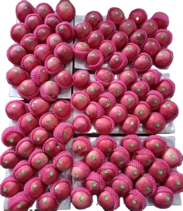 Chinese Sweet Red Apple Fruits Fuji Apple High Quality Fresh Red Fruit Apple