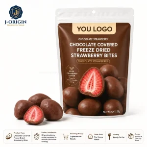 Chocolate Covered Freeze Dried Strawberry Bites Fruit Snack Ready to Eat 22g Retail Pack OEM Private Label Bulk Supply