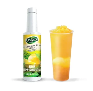 Citrus Fruit Juice Drink Beverage Fruit Juice Syrup Concentrate for Fruit Tea Bubble Tea Ingredients Popular Flavor