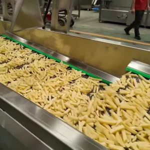 Commercial Grade Complete Potato French Fries Production Line Automatic Frozen Fries Making Plant