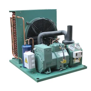 Commercial Mini Outdoor Vegetable & Fruit Chiller Compact Cold Storage Machine for Fresh Produce Preservation