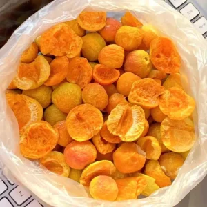 Crispy Freeze Dried Sweet Apricot Slices Bulk Pack Preserved with Water for Authentic Taste Ready to Eat
