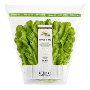 Custom Logo Design Plastic CPP Vacuum Food Packaging Trapezoidal Bags Vegetable Bag for Supermarket Farm