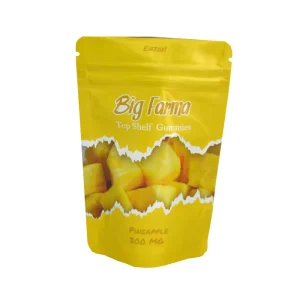 Custom Logo Plastic Snack Mango Dried Fruit Package Pouch Dry Food Packaging Bag