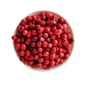 Custom Pet Treat Manufacturer Vacuum Freeze Dried Cranberry Fruit Supplement Improve Pet Immunity All Breeds Dogs Cats Bulk
