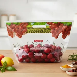 Custom Recyclable Stand up Pouches Plastic Fruit Bag Packaging Grape Ziplock Plastic Bags Custom Printed Ziplock Bags