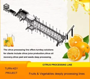Customized Complete Citrus Fruit Processing Line for Juice Concentrate Puree Peel Oil Manufacturing Plant