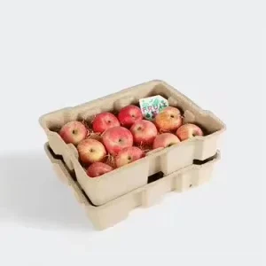 Customized Mold Pulp Shipping Tray Fruit Tray For Supermarket For Farm