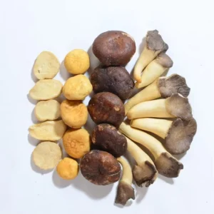 Direct Factory Sale Healthy Nutritious Vegetable Snacks Mixed Mushroom Crisp Fried Salty Box Halal Kosher Certified