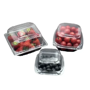 Disposable Clear PET Thick Fresh Clamshell Fruit Box for Blueberry Agricultural Use