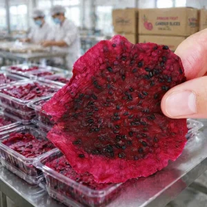 Dried Dragon Fruit 500g 100% Natural Red Pitaya Chips No Added Sugar Healthy Vegan Snack for Kids and Adults