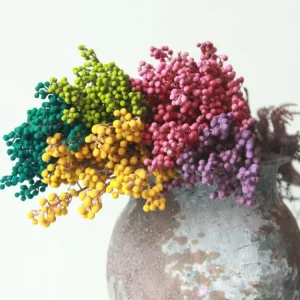 Dried Flower Eternal Pepper Fruit Dried Small Beans Preserved Coral Fruit for Flower Arrangement