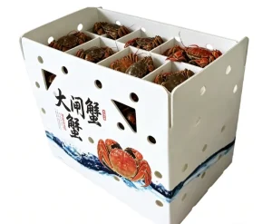 Eco Friendly Seafood & Frozen Food Shipping Container with Customized Logo for Logistic Storage and Egg Packaging