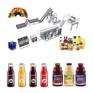 Eco-friendly Full Automatic Complete Fresh Fruit Beverage Production Line Juice Machine