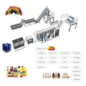 Eco-friendly Full Automatic Industrial Complette Line for Fruit Juice with Pulp Production