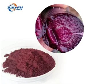Excellent Quality Fresh Beetroot Fruit Juice Concentrated Red to Deep Red Fine Powder Food Beverage