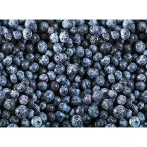 Export Quality Frozen Blueberries Processed From Fresh Harvested Fruit for Retail and Food Industry