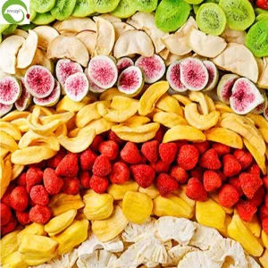 FD Dried Fruit Freeze Dried Fruit for Bulk