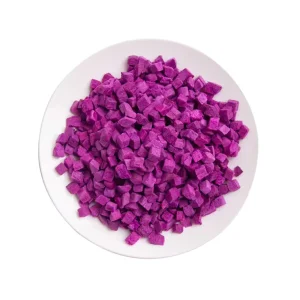 FD Fruits Freeze Dried Dragon Fruit Dice Halal Certified Bulk Packaging