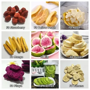 FD029F Healthy Freeze Dried Fruit Chinese Snacks Bulk Freeze Dried Fig Strawberry Mango Fruit