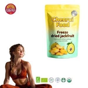 Factory 100% Natural Freeze Dried Jackfruit Slices Bulk FD Preserved Fruit for Baking OEM Available