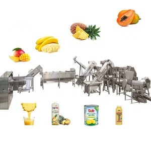 Factory Automatic Juice Processing Machine Pineapple Juice Making Machine Fruit Juice Extractor Machine for Pineapple