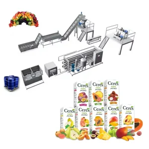 Factory Custom Industrial Fruit Juice Processing Equipment Machine Production Line Beverage Plant