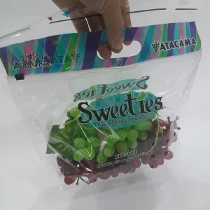 Factory Custom Printing Food Grade Anti Fog Vent Zipper Stand up Pouch Plastic Frozen Package Fruit Vegetable Bags with Handle