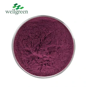 Factory Direct Prune Fruit Juice Instant Concentrate Powder Prune Fruit Powder