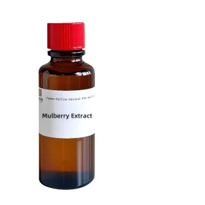 Factory High Quality Fruit Mulberry Concentrate Liquid Natural Flavoring 100% Purity Plant Extract for Beverages Desserts