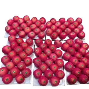 Factory Manufacturer Fresh Fruit Fuji apple for Sell Fuji apple