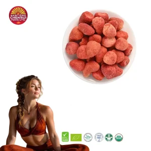 Factory Natural Freeze Dried Strawberry Slices Bulk 100% Organic Preserved Fruit for Baking OEM Available