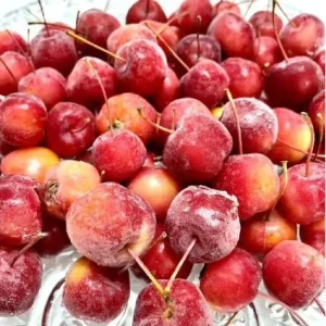Factory Outlet Bulk FD Baleng Haitang Crisp Non Fried Zero Addition Baked Dried Fruit Granules Freeze Dried Sweet Ready to Eat