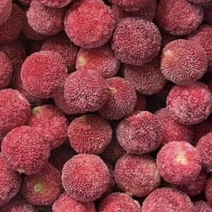 Factory Price Frozen Fruits IQF Fruits Frozen Red Bayberry Bulk Frozen Waxberry
