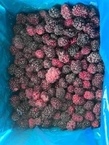 Factory Price High Quality Frozen Blackberry Pure Natural HACCP BRC A IQF Frozen Blackberry