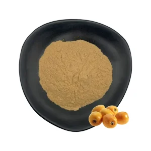 Factory Supply Loquat Fruit Powder Loquat Concentrate Powder Loquat Juice Powder for Beverages