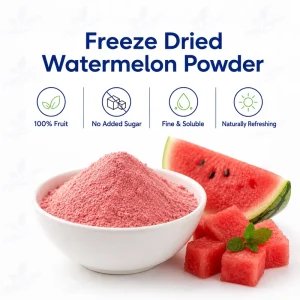 Factory Supply Organic Freeze Dried Watermelon Powder