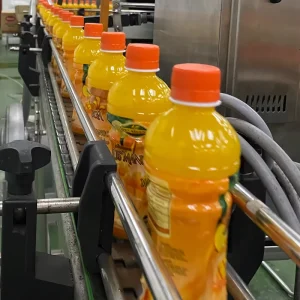 Fast Changeover Automatic Coconut Water Pineapple Juice Making Bottling Filling Equipment Machine Production Line