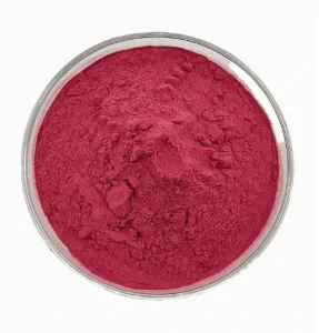 Food Grade Cranberry Extract Powder Rich in Proanthocyanidins Antioxidant Support Women Health Supplement