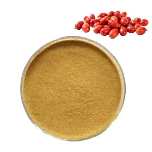 Food Grade Miracle Fruit Extract Natural Miraculin Berry Powder Miracle Extract