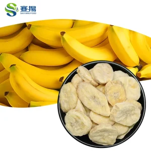 Freeze Dried Fruit Freeze Dry Fruits Snack FD Banana Slices Freeze Dried Banana Fruit Slice