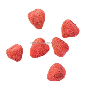 Freeze Dried Fruits Dog Cat Snacks and Pet Food Freeze Dried Pet Strawberry Snacks