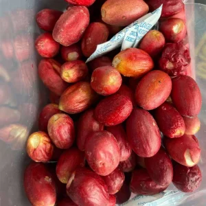 Freeze Dried Miracle Fruit Berries Food Grade Miracle Fruit Extract Supplement Customized Packing Factory Supply