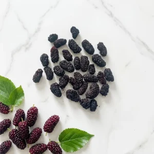 Freeze Dried Mulberry Whole Berry for Fruit Tea Baking Dessert Raw Material