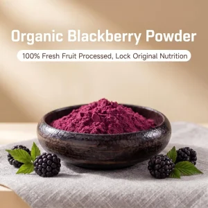 Freeze Dried Organic Blackberry Powder Pure Natural Water Soluble Food Grade Bulk OEM HALAL Certified