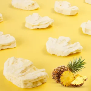 Freeze Dried Pineapple Slices Dried Fruit Bulk Pack No Additives Natural Sweet Vacuum Tinned Snack 18-Month Shelf Life