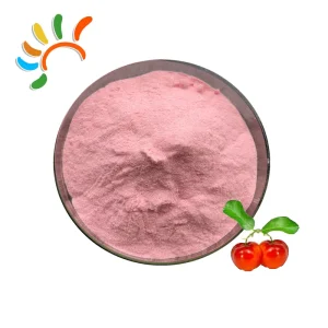 Freeze Dried Sweet Cherries Powder Preserved FD Fruits Sour Taste Bulk Packaging Dehydrated Food Style Similar Goji Fig