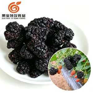 Freeze Dried Whole Blackberry 100% Natural No Added Sugar No Additives Private Label Bulk for Snack Baking Cereal