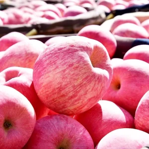 Fresh China Fuji Apples High Quality Fruit for Your Needs