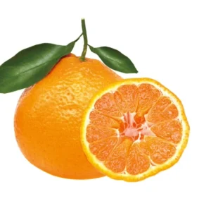 Fresh Citrus Fruits Premium Chinese Mandarin Fruits Orange Tangerine Exporter